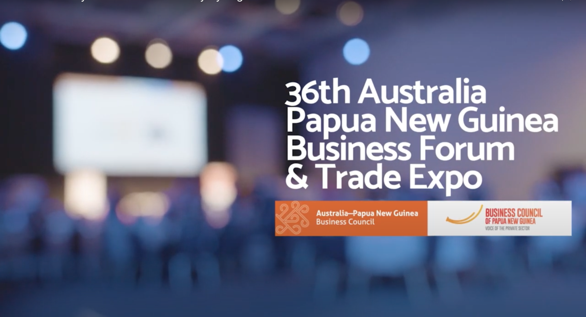 The Australia Papua New Guinea Business Council Event